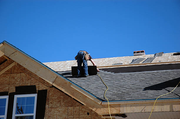 Best Roof Gutter Cleaning  in Hartley, IA